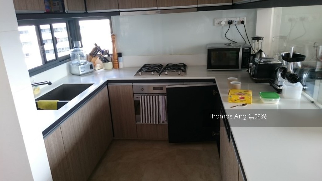 The Trizon (D10), Condominium #114646512